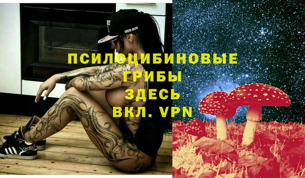 ПСИЛОЦИБИНОВЫЕ ГРИБЫ Аркадак