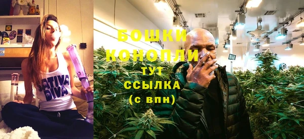ПСИЛОЦИБИНОВЫЕ ГРИБЫ Аркадак