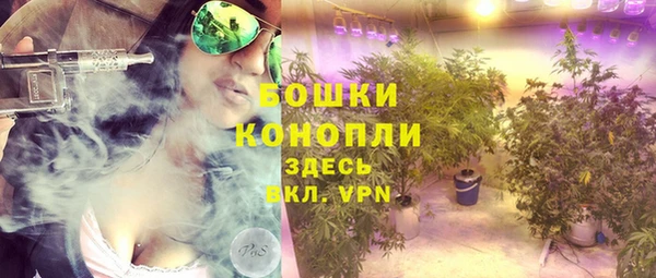 гидра Армянск