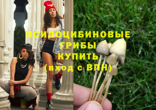 гидра Армянск